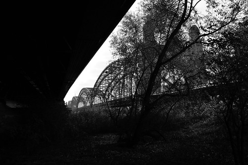 elbe schwarzweiss monochrome blackandwhite blackwhite einfarbig sw bw baum tree hamburg brücke bridge süderelbe harburg wilhelmsburg hamburgwilhelmsburg