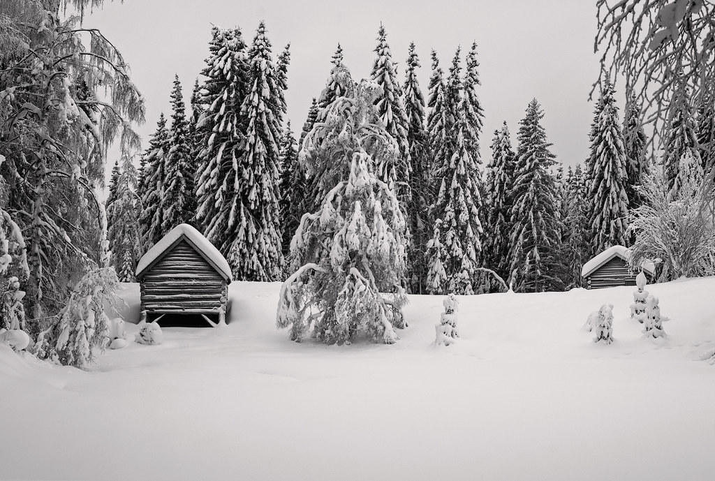Norwegian winter landscape