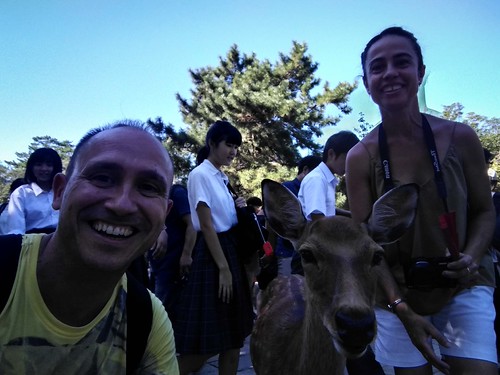 KYOTO (Fushimi Inari, Parque de Nara, Templo Kofukuji, Templo Todaiji) - KONICHIWA JAPÓN!!!!! Septiembre 2019 (19)