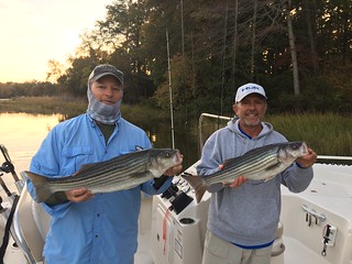 Photo of two men holding striped bass