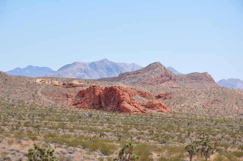 Whitney Pocket ~ Gold Butte National Monument