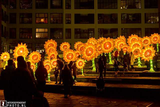 191114 Glow 005 [Zonnebloemen voor Van Gogh (Hugo Vrijdag, Gu Yeliang, Qinhuai Light Festival)]