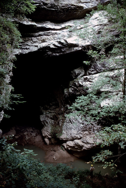 Sep 74; head of Sequatchie River in Cumberland Trail State Park near Crossville; Devilstep Hollow Cave