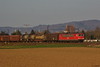 155 115-9 [aa] zwischen Ladenburg und M-Friedrichsfeld