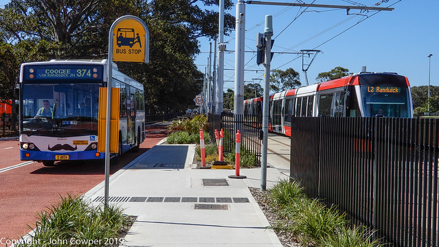 Sydney Light Rail  and Sydney Buses - sharing the alignment (1)