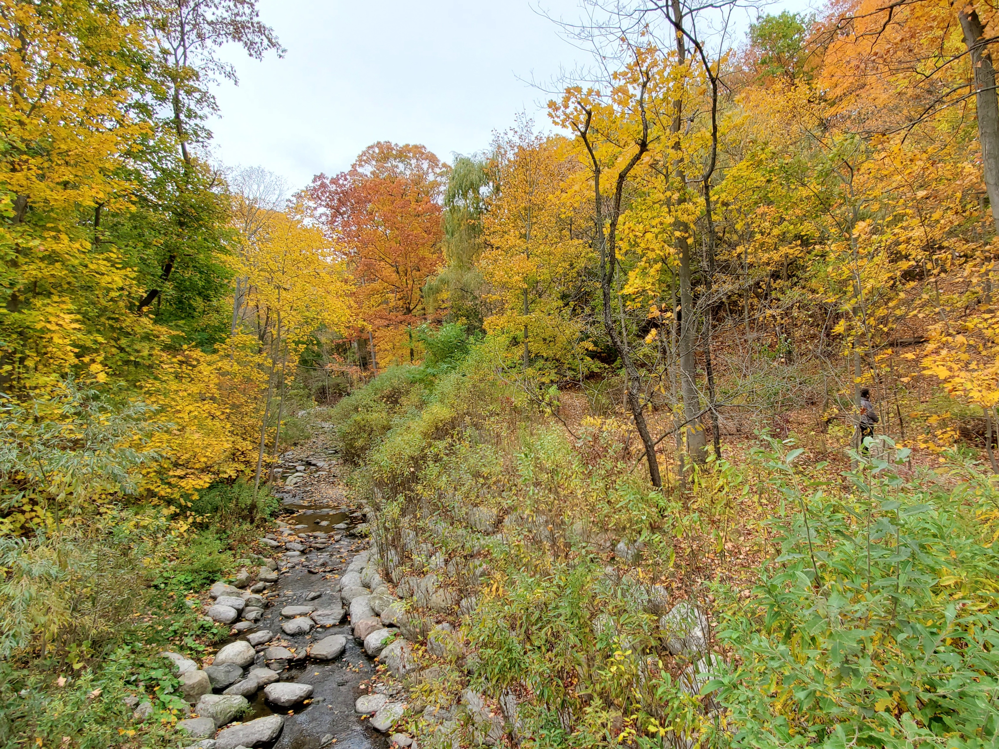 Don Valley Brick Works Park Fall Foliage