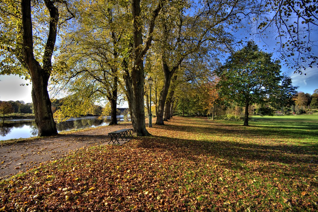 Autumn sunlight at Avenham Park, Preston