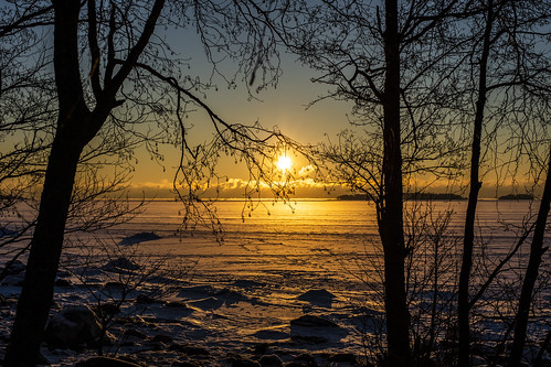 canon6d sunrise outdoors outside nature landscape sun trees espoo finland