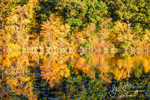 Fall Colors | Eastside Camera Club November 2019 | Glen Suszko | Flickr