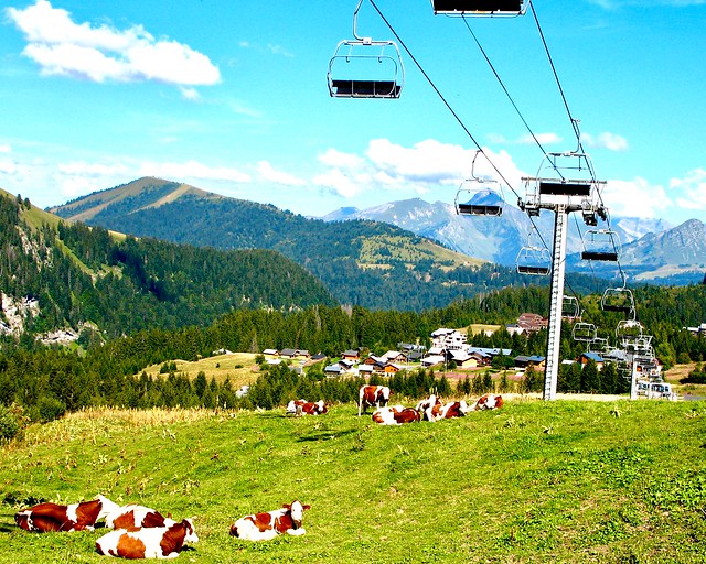 La superbe hte Savoie ses vaches ses télésièges ses belles montagnes son mont Blanc ect !!!!!!!