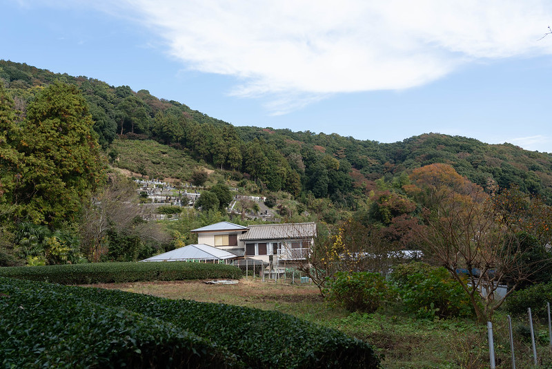 神奈川の田舎風景