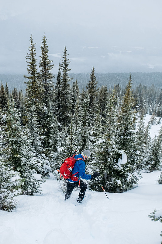Snowshoeing - Hector South Ridge - Nov 2019-9
