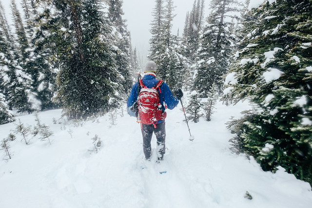 Snowshoeing - Hector South Ridge - Nov 2019-10