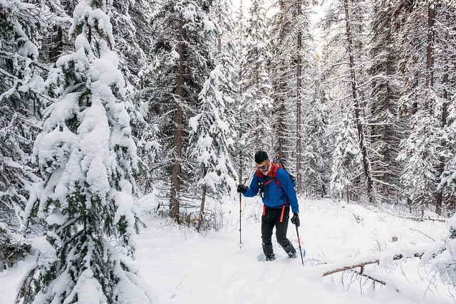 Snowshoeing - Hector South Ridge - Nov 2019-1