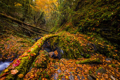 Autumn Colors | Jeff Lee | Flickr