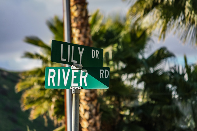 Lily Drive
