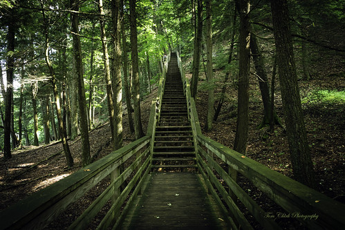stairs steps iargosprings hurannationalforest intothewoods woods puremichigan 2019yip nikoncamera