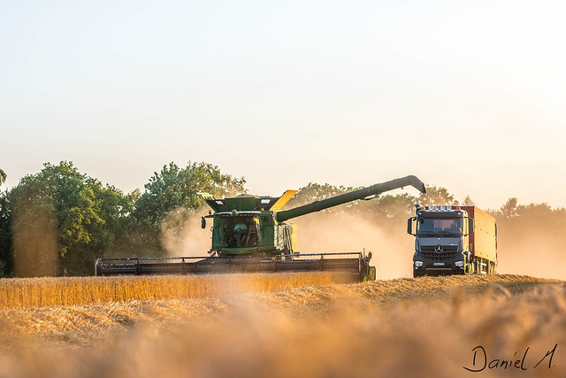 2x John Deere harvesting wheat