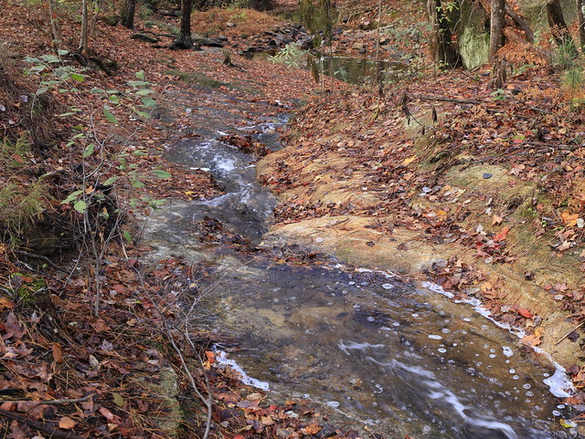 Landscape with Fall foliage and Creek