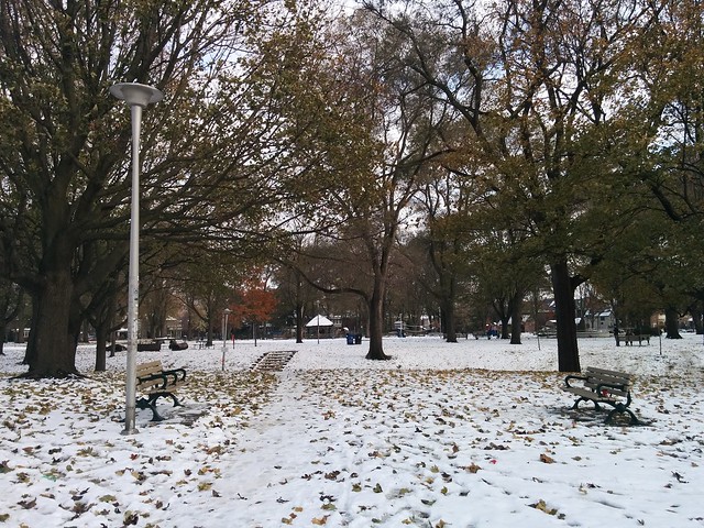 Dufferin Grove after the first snow last Thursday (2) #toronto #dufferingrove #dufferingrovepark #snow #latergram