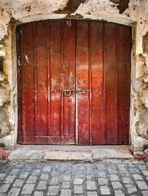 Door within a door