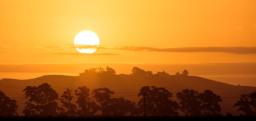 sun hawkesbay newzealand sunset ankh trees layers sky silhouette dusk caldwell clouds light
