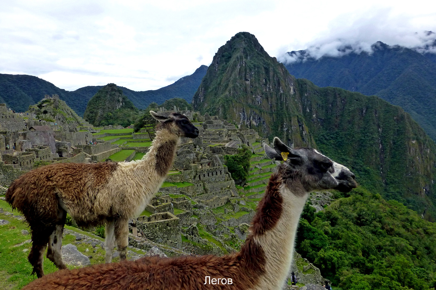 °Machu Picchu 3