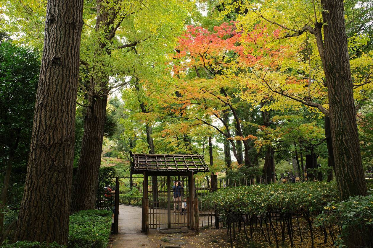 大田黒公園　庭園入口の紅葉