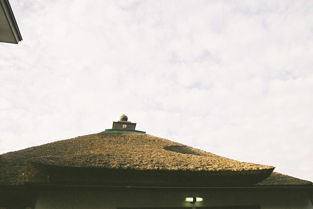 The thatched roof