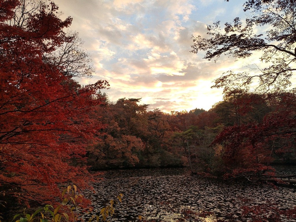 神戸市立森林植物園の長谷池 陽が沈む前の紅葉風景に間に合いました I M At Kobe Municipal Ar Flickr