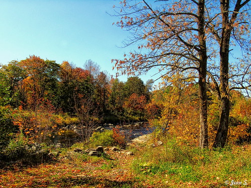 river water autumn fall trees blue yellow orange landscape