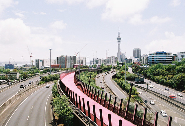 Auckland's Pink Path