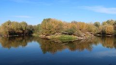 On The Vistula River