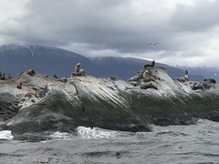 Crucero Patagonia Adventure Explorer