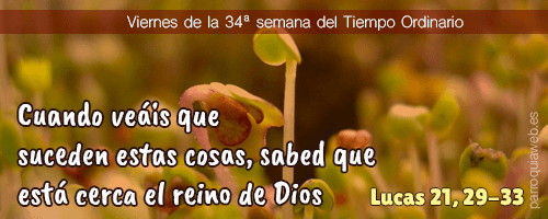 Lucas 21, 29-33