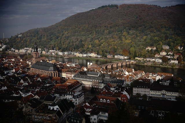 late autumn@Heidelberg, Germany 6