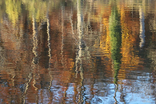 Reflets d'automne/ Autumn reflections