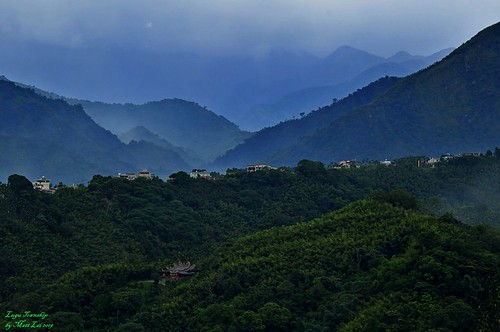 lugu moutains house landscape scenery taiwan countryside nantou mist 鹿谷 南投 台灣 凍頂