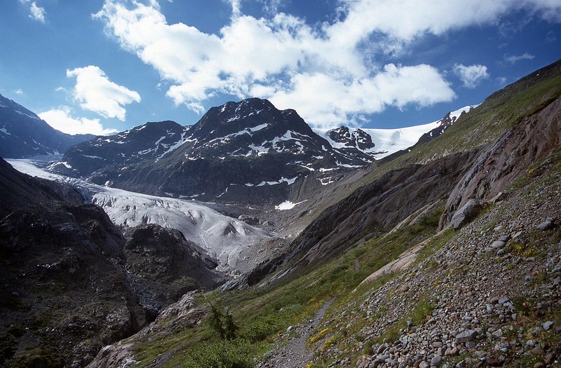t0002063F | Gepatschgletscher mit Rauhem Kopf (2989 m). Ötztaler Alpen, 29.06.2000