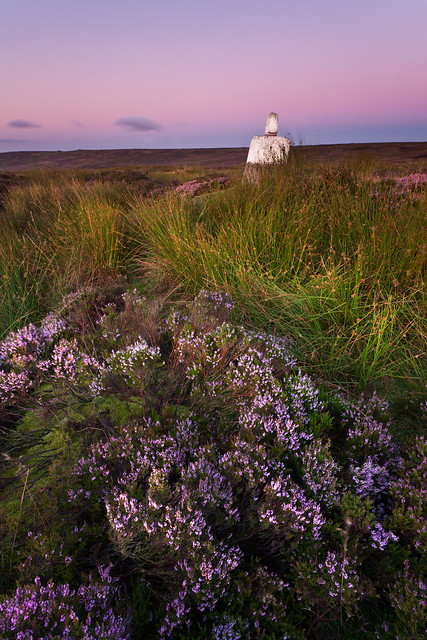 Fat Betty, Standing Stone at Dawn North York Moors