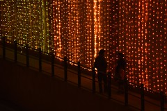 Uttarayan Lights in Ahmedabad