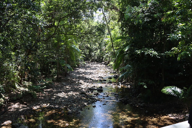 Oliver Creek, Noah Valley, Daintree Rainforest, Douglas Shire, Queensland, Australia, 2019