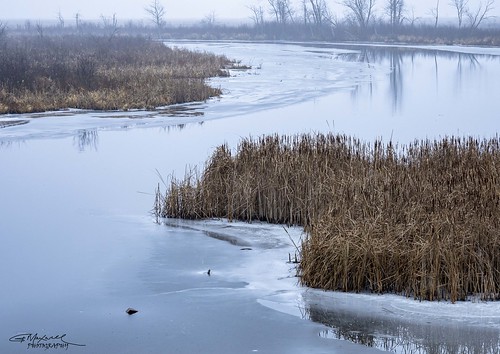 landscape rivers ice ontario indianriver reflections olympus em1x zuiko 12100 f4 wide angle keene november flickrexplore mist