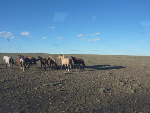 entering the Gobi desert | by plutogno