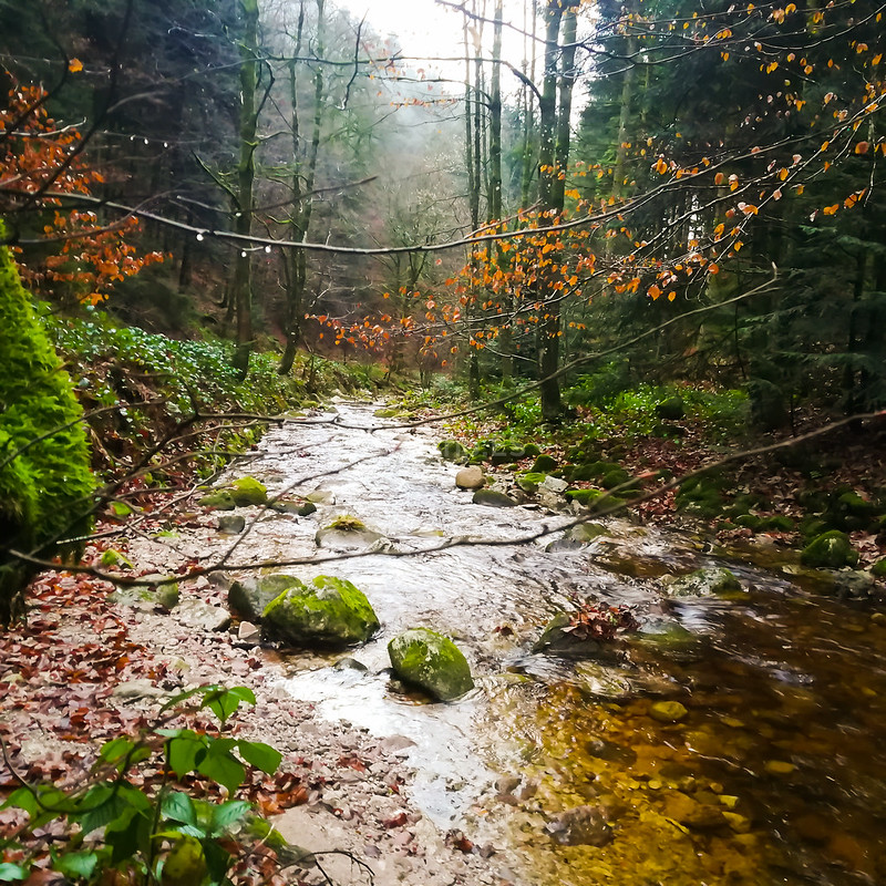 Cascadas de Allerheiligen -Qué ver en la Selva Negra_ClickTrip