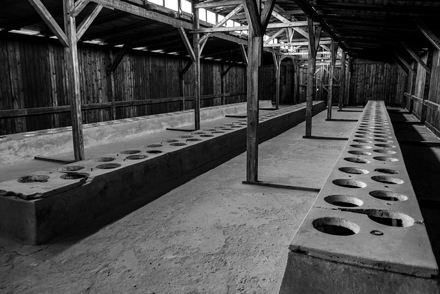 Auschwitz-Birkenau - 25 November 2019 - Photographer : Brian Duffy49