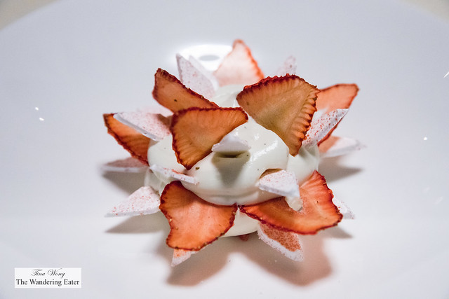 Shattered Dreams of the Perfect Vacherin - strawberry, yogurt, verbena