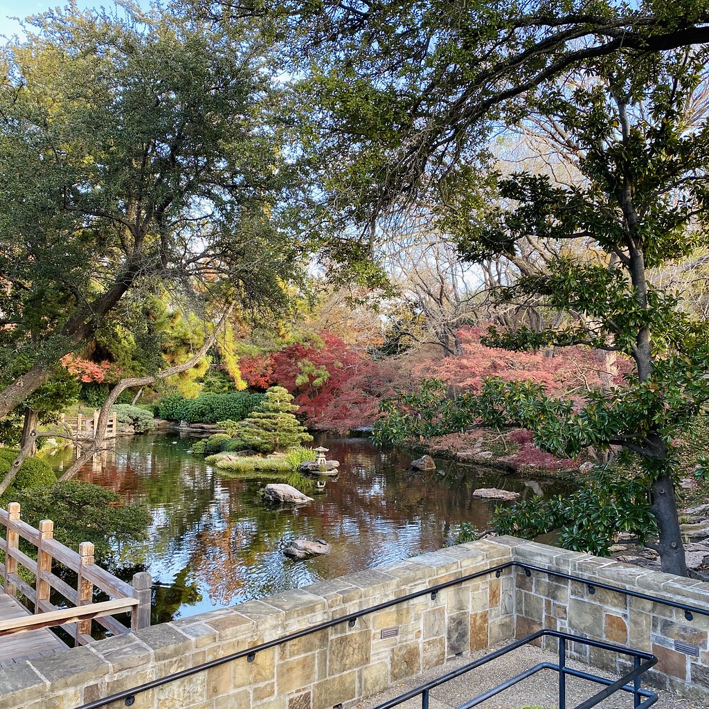 2019 Japanese Gardens