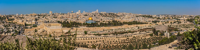 City of Old Jerusalem Panorama