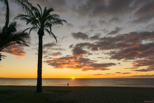 sunrise leverdusoleil torremolinos costadelsol espagne spain sky soleil palmier et lever du